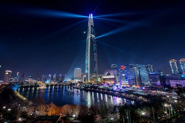 Spectacular Seoul night view tour